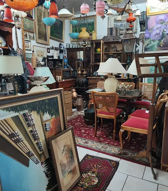 Brocanteur examinant une céramique ancienne dans sa boutique de curiosités à Metz